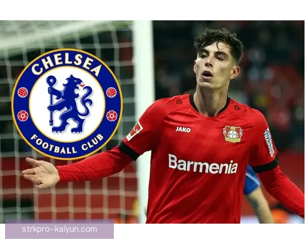 德甲转会窗口结果分析：各俱乐部动态与引援策略梳理