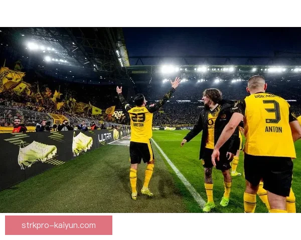 德甲沃尔夫斯堡主场近期表现稳健，竞争力持续提升